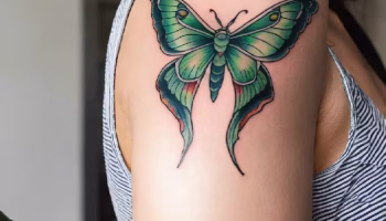 8 Εκπληκτικά τατουάζ Luna Moth: Timeless Beauty in Ink